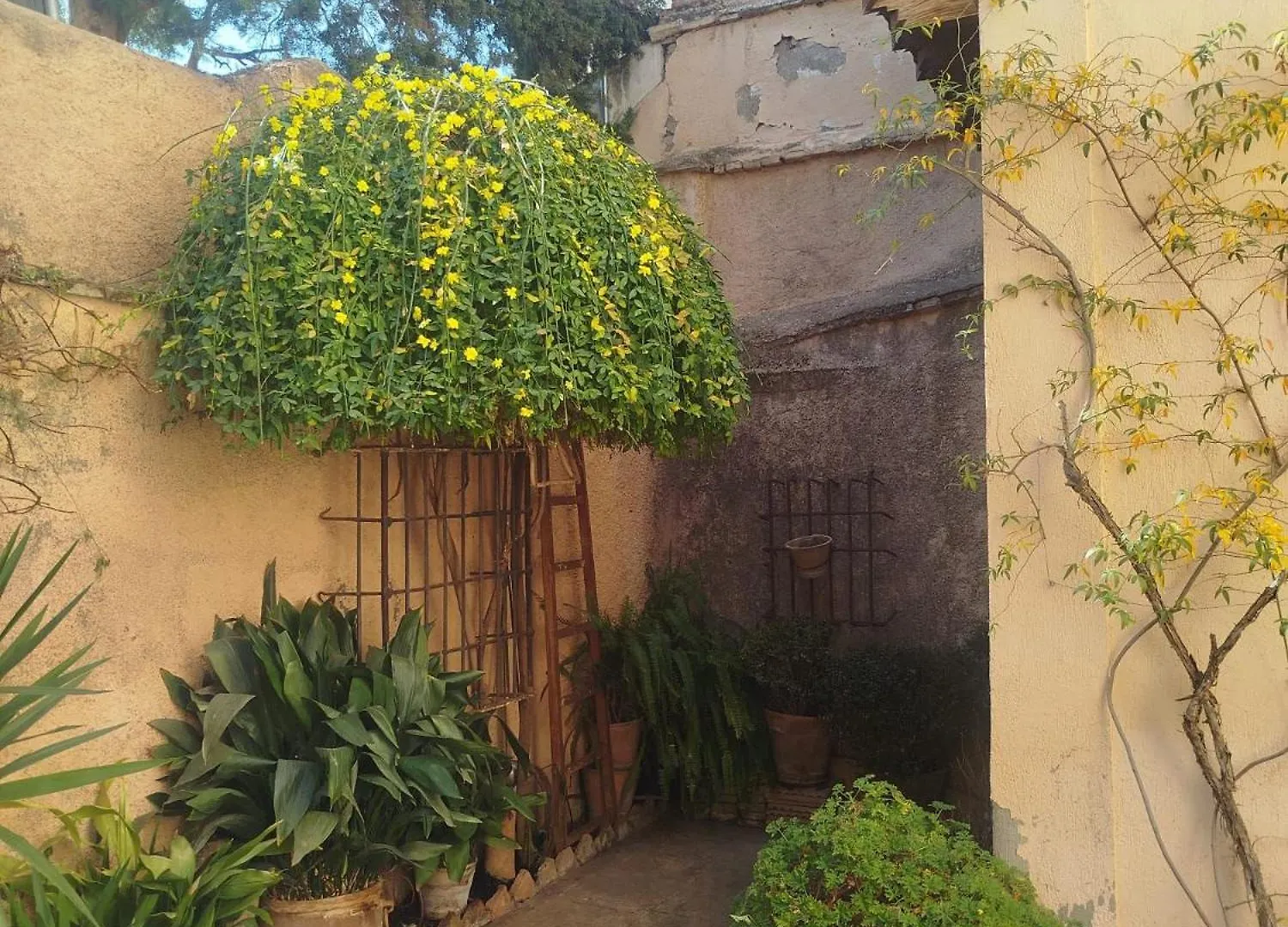 Casa Del Aljibe ξενώνας Γρανάδα Εξοχικό σπίτι